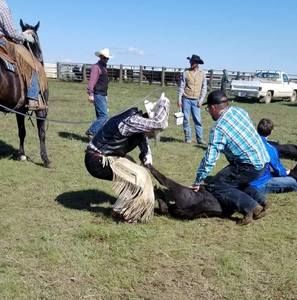 Meet your Posher, Jayden